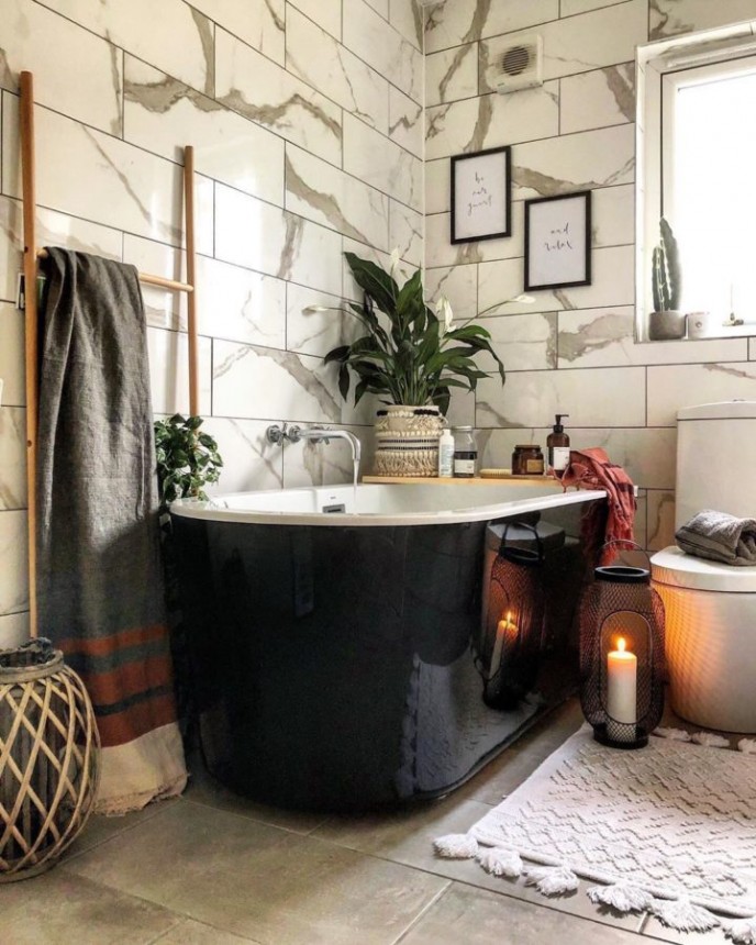 گیاه اسپاتی فیلوم معروف به صلح لیلی Peace Lily گیاه اسپاتی فیلوم معروف به صلح لیلی Peace Lily