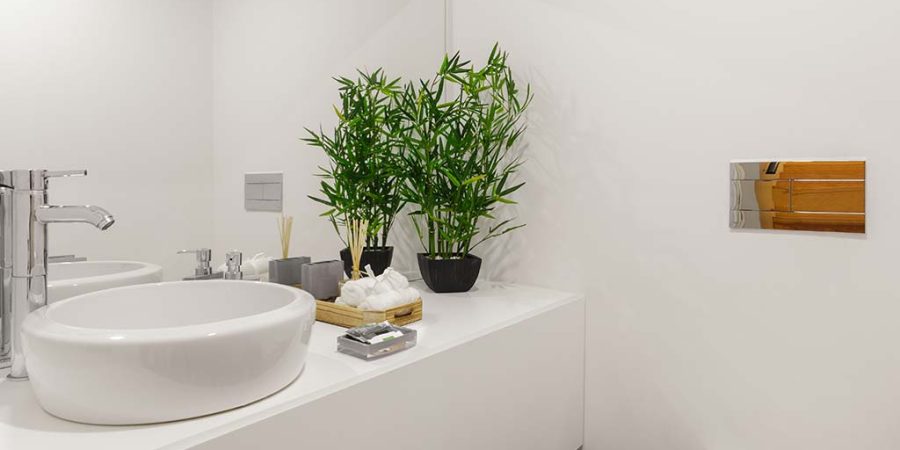 10 مدل از گیاهان خانگی مناسب حمام و سرویس بهداشتی 1