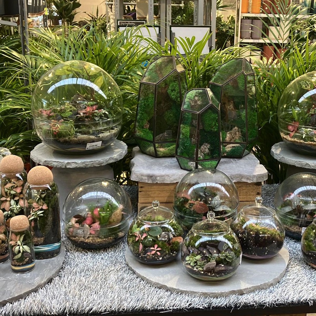 تراریوم چیست؟ تراریوم چیست؟