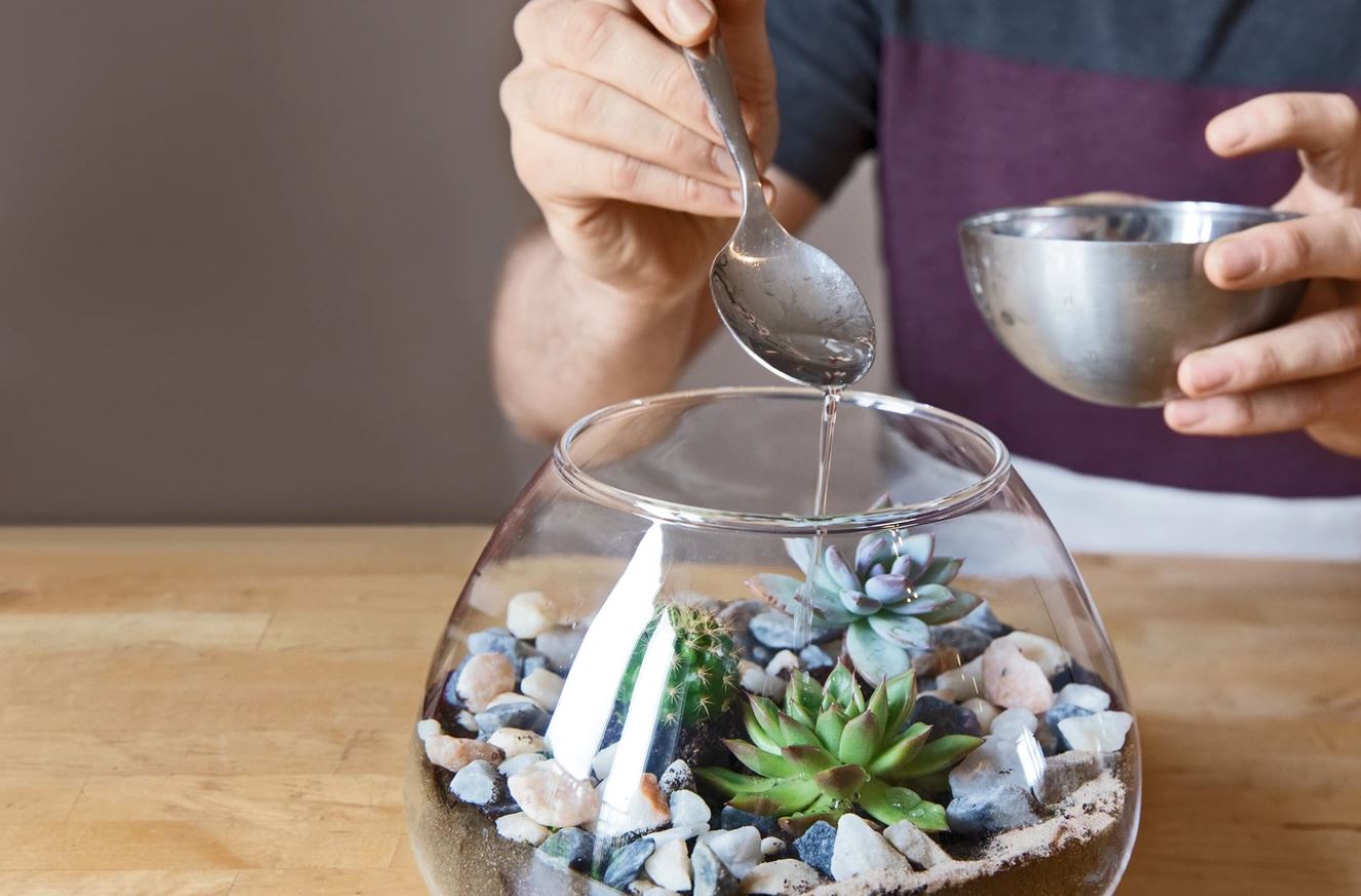 نحوه نگهداری تراریوم نحوه نگهداری تراریوم