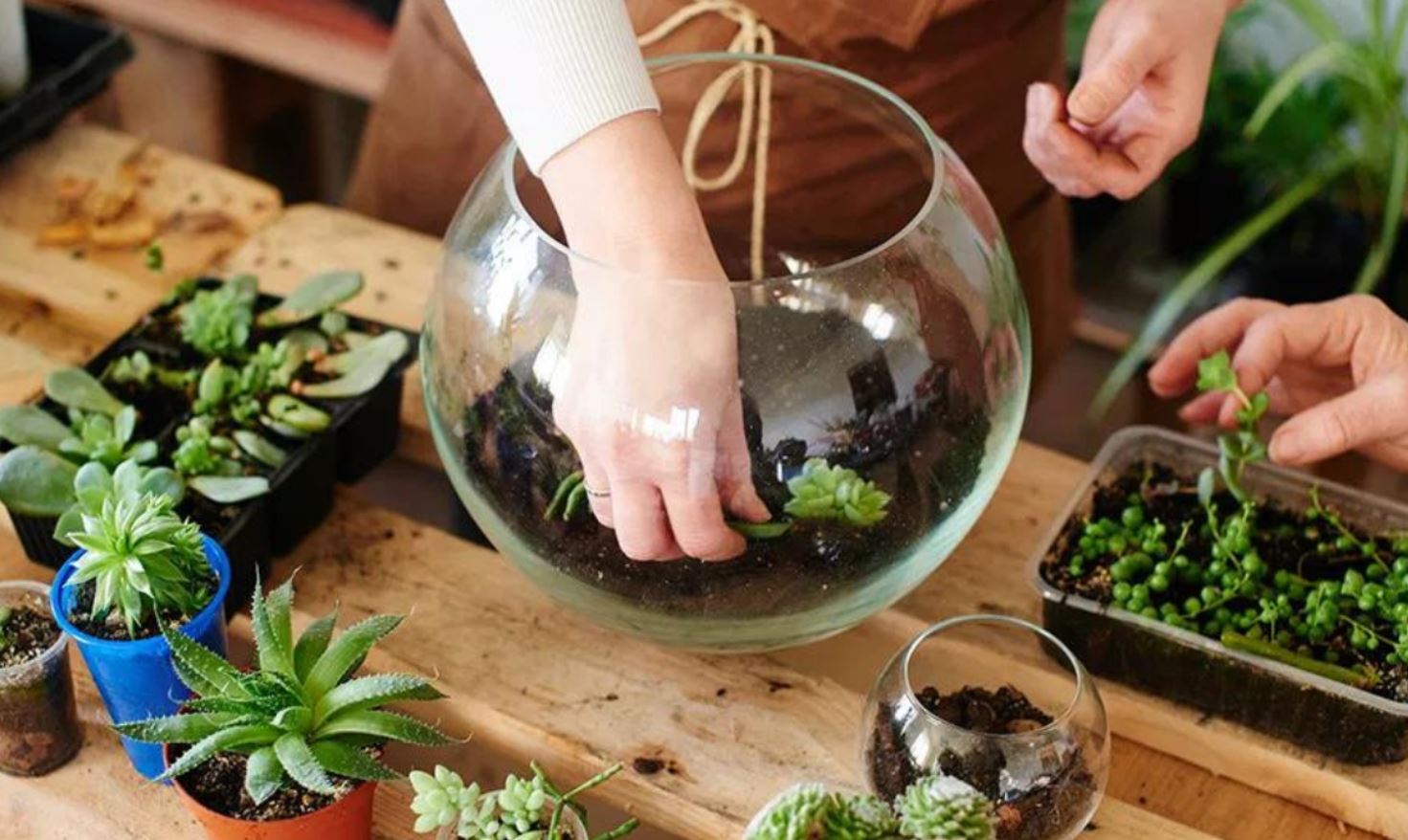 نحوه ی ساخت تراریوم نحوه ی ساخت تراریوم