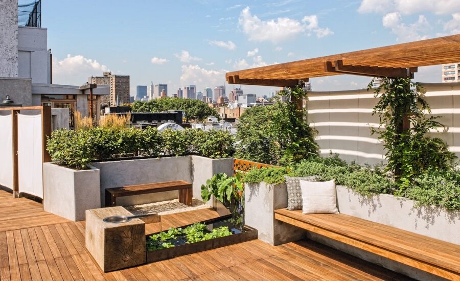 بام سبز چیست؟ | انواع بام سبز | همه چیز درباره روف گاردن