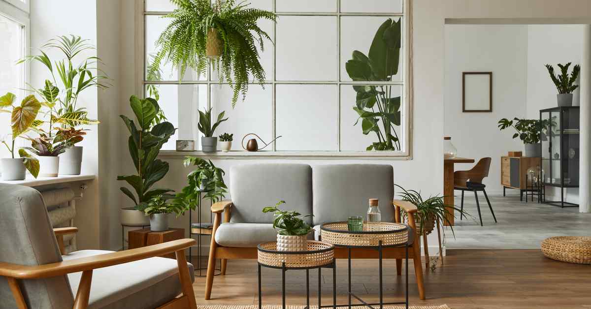 گیاهان آپارتمانی در دکوراسیون منزل 1
