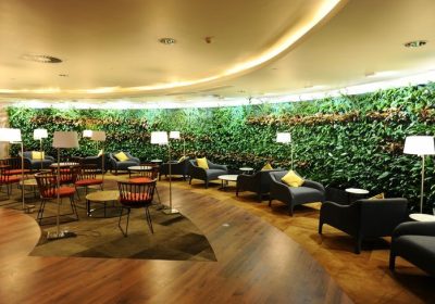 طراحی-داخلی-و-بازسازی-کافی-شاپ-۱