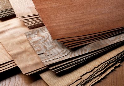 واردات-چوب-و-روکش-بازرگانی-محمودی-۱