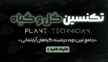 کسب درآمد با پرورش گل و گیاه