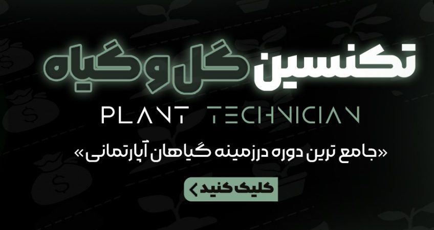 کسب درآمد با پرورش گل و گیاه