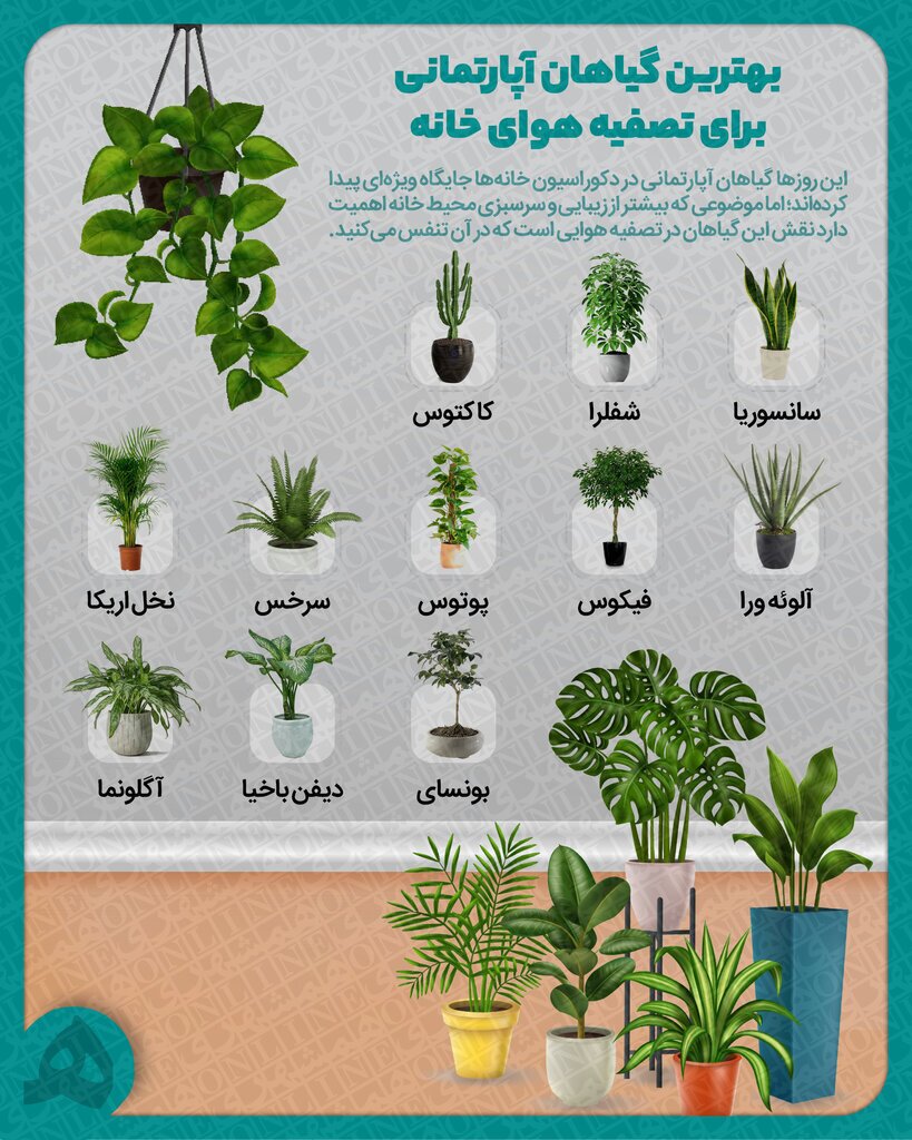 (اینفوگرافیک) بهترین گیاهان آپارتمانی برای تصفیه هوای خانه (اینفوگرافیک) بهترین گیاهان آپارتمانی برای تصفیه هوای خانه