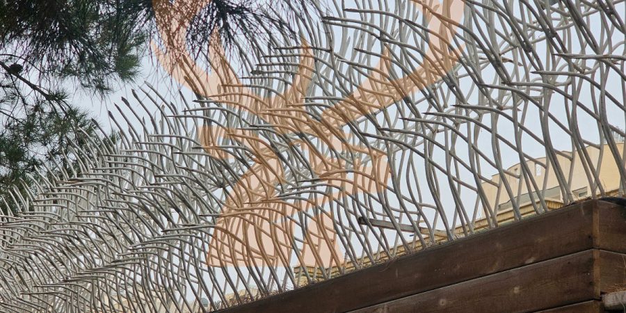 ارتفاع و تراکم حفاظ شاخ گوزنی (ویلا و مجتمع شهری): بهترین انتخاب، از 18 تا 76 شاخه + جدول