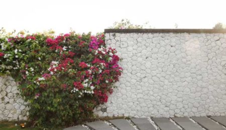طراحی دیوار باغ با سیمان