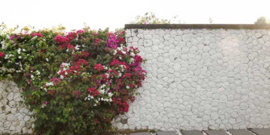 a68fbe88 1173 4ea2 a1f6 8add36ef07ff طراحی دیوار باغ با سیمان